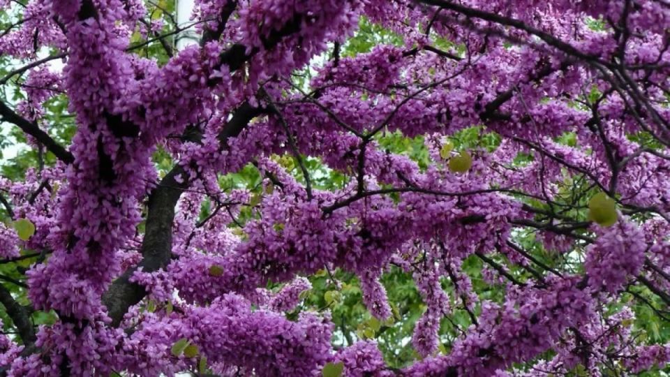 ������ ������: ����� ������� � �������������