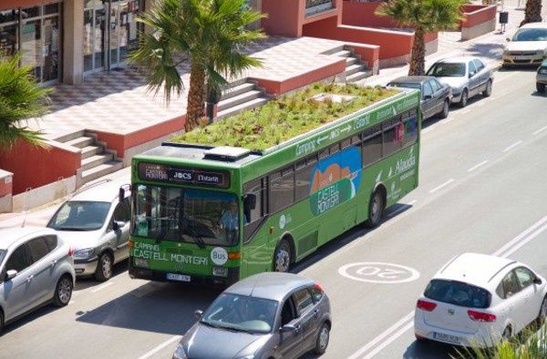 Необычные идеи для огорода: 10 удивительных мест, где можно вырастить зелень