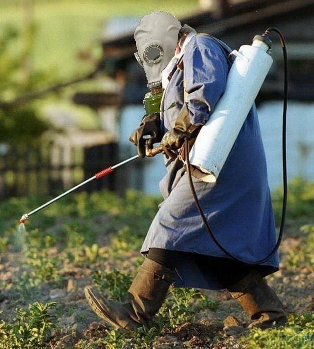 ������ �����-������� ����� ��������� ����� ������ ������