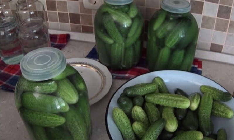 Как квасить огурцы холодным способом: секреты бочковых огурцов в банках