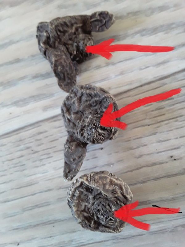 ��� ��������� �������� ������� ����������: ������� ��� ��� ����������