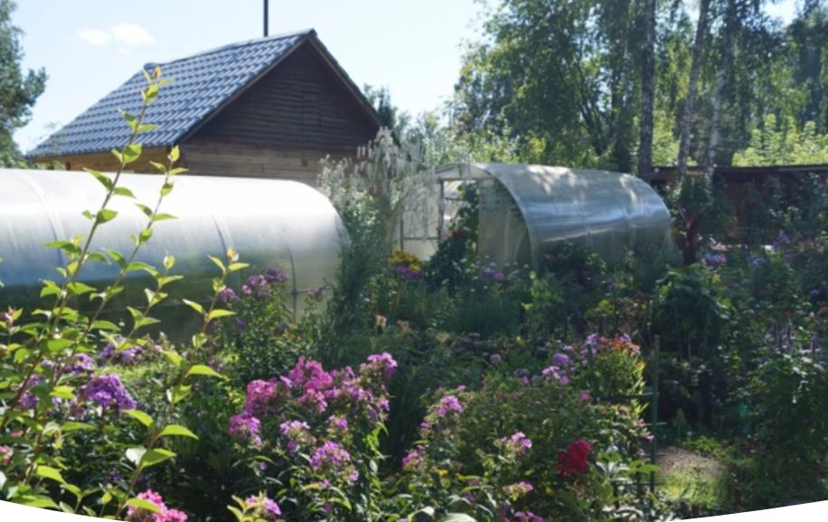 Что подготовить в саду и огороде: лунный календарь с 19 по 25 августа