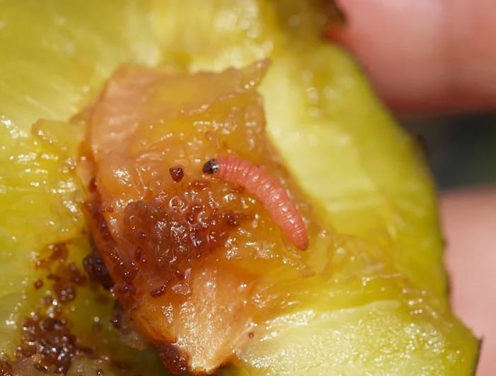 �������� � �������� ����� � ������ � �����������