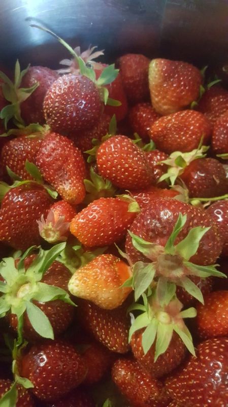 ������� ������� ��������� ����������� ��������